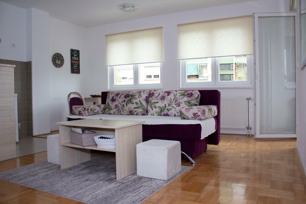 Apartman Marija 巴尼西卢卡 外观 照片